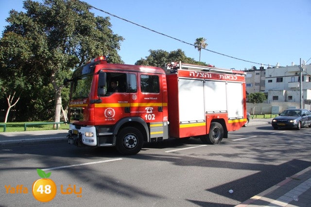 accuaffa515ieu (11).JPG